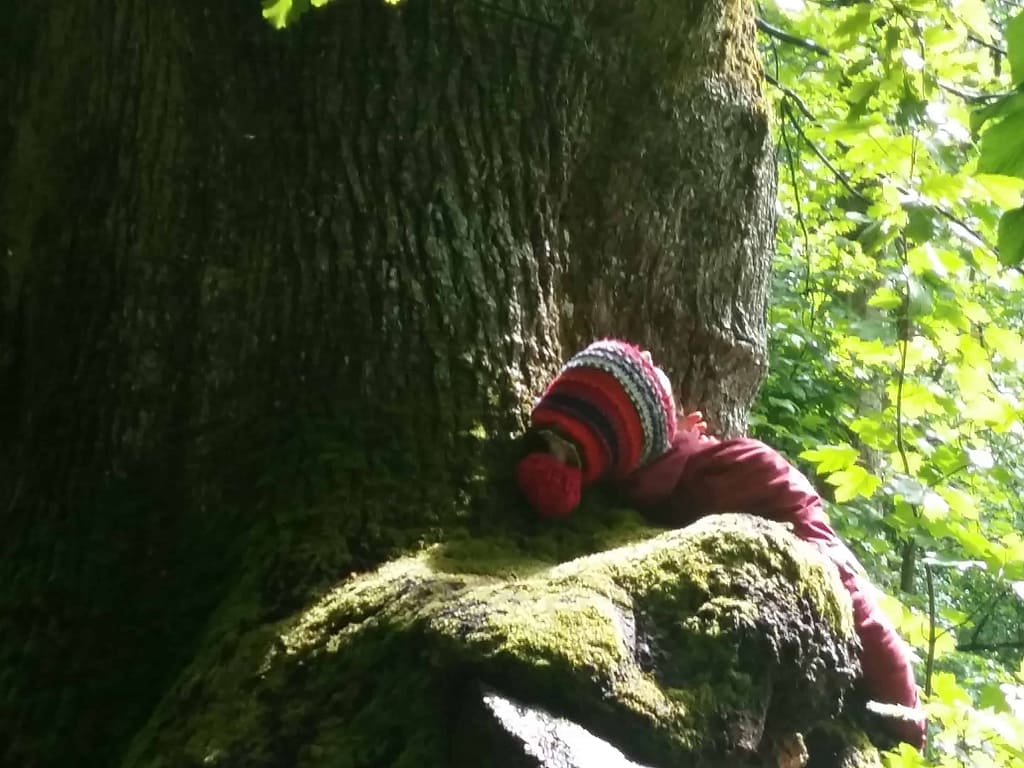 Naturtherapie Ausbildung - Entspannung pur!