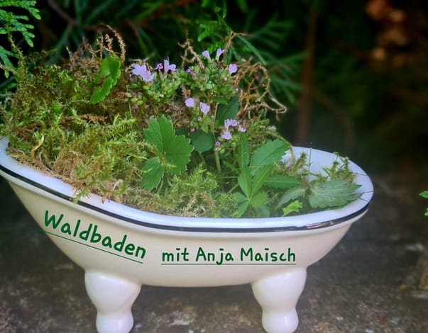  Waldbaden