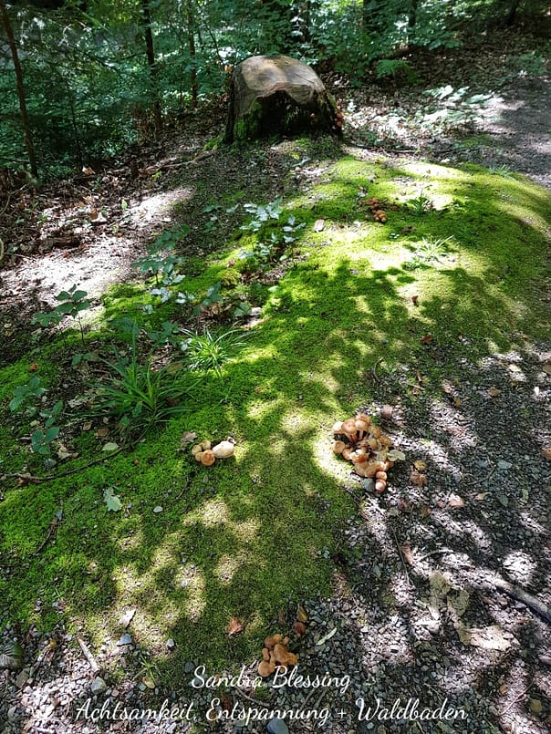 Waldbaden St. Georgen/ Schwarzwald mit Sandra Blessing