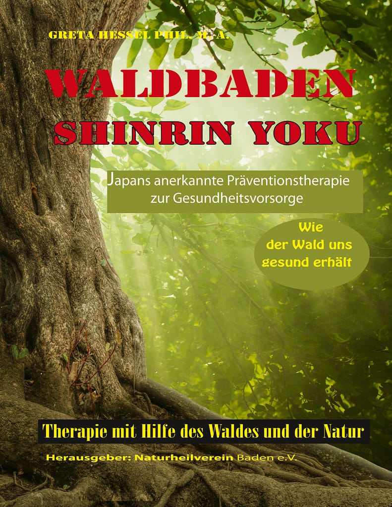 Wie der Wald uns gesund erhält mit Waldbaden Shinrin Yoku